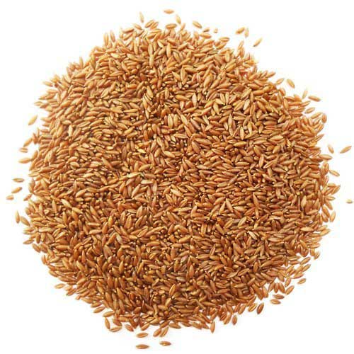 Exotic Wild Bamboo Rice